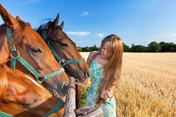 Image showing horse and blond girl in paddock on summers