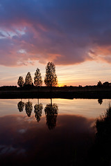 Image showing Leafless tree near lake on sunset