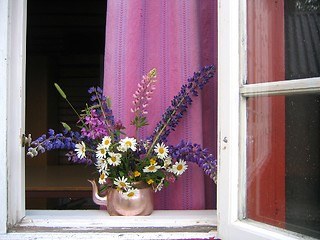 Image showing Summer window