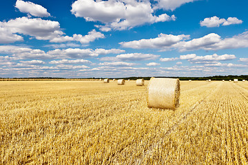 Image showing straw bales in a field with blue and white sky