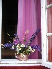 Image showing Summer window