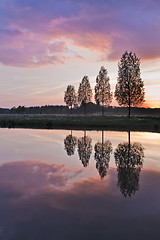 Image showing Leafless tree near lake on sunset