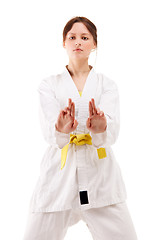 Image showing young sexy women in a karate pose