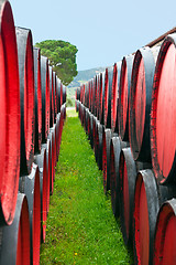 Image showing wine barrels in a winery, France