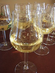 Image showing Glasses of wine