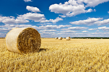 Image showing straw bales in a field with blue and white sky