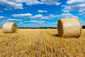 Image showing straw bales in a field with blue and white sky