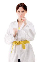 Image showing young sexy women in a karate pose