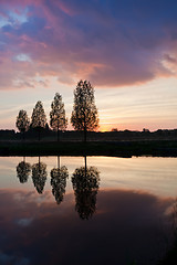 Image showing Leafless tree near lake on sunset