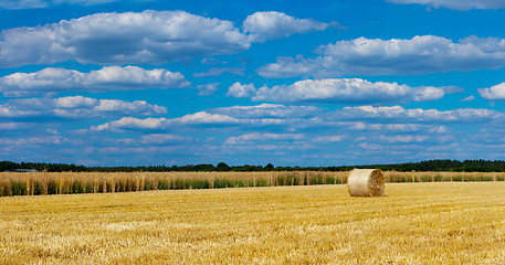 Image showing straw bales in a field with blue and white sky