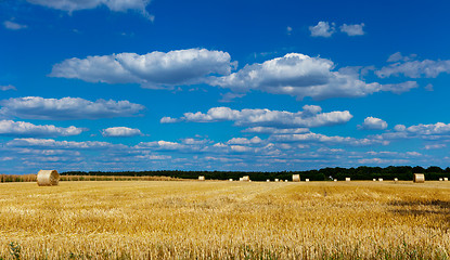 Image showing straw bales in a field with blue and white sky