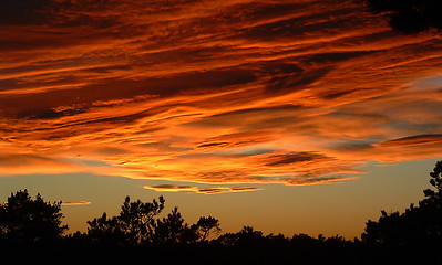 Image showing Sunset in red