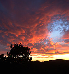 Image showing Colourfull sky