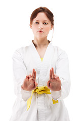 Image showing young sexy women in a karate pose