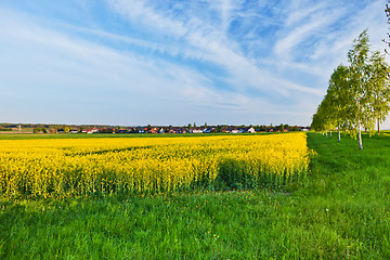 Image showing A summer landscape