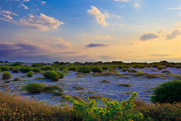 Image showing Mediterranean sea coast at sunset.