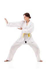 Image showing young sexy women in a karate pose