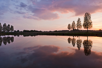 Image showing Leafless tree near lake on sunset