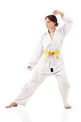 Image showing young sexy women in a karate pose