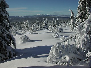 Image showing Winterlandscape in Trysil