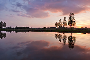 Image showing Leafless tree near lake on sunset