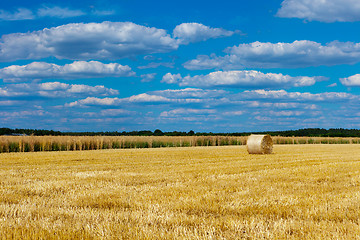 Image showing straw bales in a field with blue and white sky