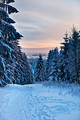 Image showing winter forest in Harz mountains, Germany