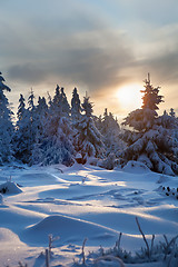 Image showing winter forest in mountains