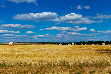 Image showing straw bales in a field with blue and white sky