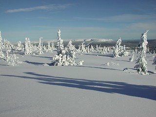Image showing Winter and snow