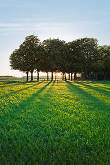 Image showing A summer landscape