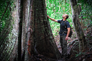 Image showing man in borneo jungle