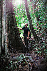 Image showing man in borneo jungle