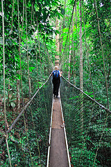 Image showing canopy bridge