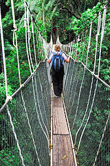 Image showing canopy bridge