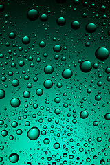 Image showing water drops on green