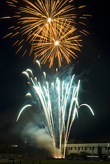 Image showing Fireworks flower