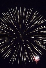 Image showing Fireworks flower