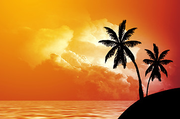 Image showing Palm trees silhouette at sunset