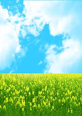 Image showing The sky in clouds and a green grass