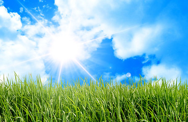 Image showing green field and sun sky