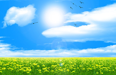 Image showing sunny sky background