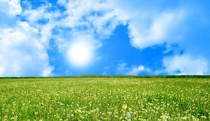 Image showing Green glade in summer day