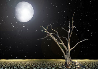 Image showing Tree shined with a moonlight