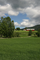 Image showing Farm