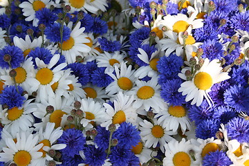 Image showing Midsummer flowers