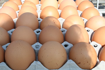 Image showing Eggs