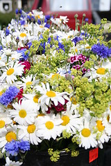Image showing Midsummer flowers