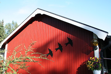 Image showing Swallows on  house-gable