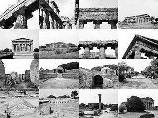 Image showing Paestum landmarks, Italy